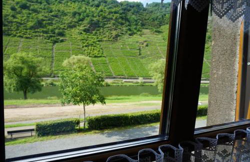 Weingut Göbel-Schausten - Foto 7