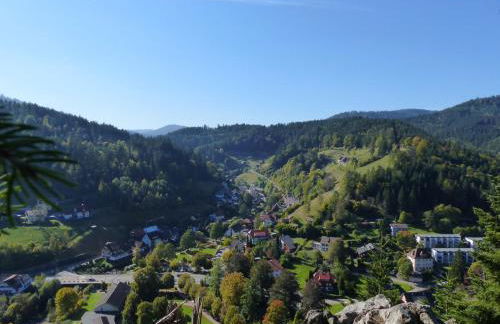 Ferienwohnungen in Schönmünzach - Photo 30