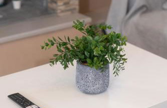 Elaia Retreat by Greece Apartments - Photo 37