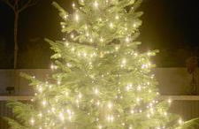 Ferienhaus Landbrücke - Foto 21