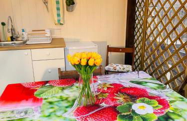 Charming Tuscan Suite with Pool 2 to 5 persons Lamole Greve in Chianti - Foto 10