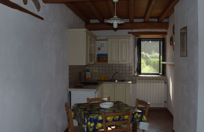 Codavolpe Giardino di Tea - Foto 12