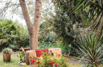 Masseria Piutri - Photo 12