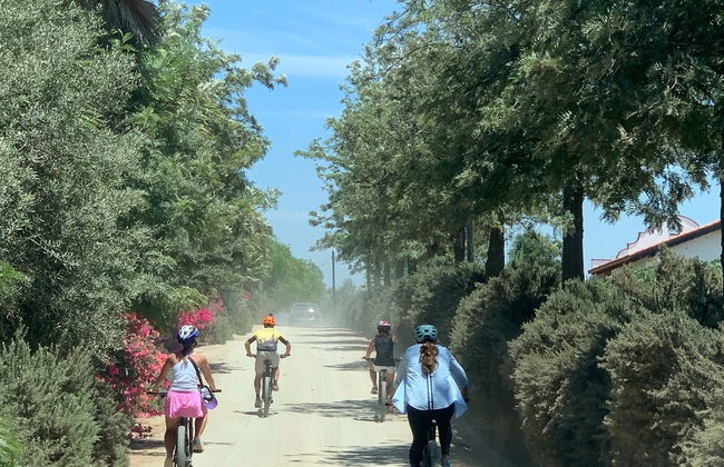 Guadalupe Valley Vineyards Bike Tour - Photo 1