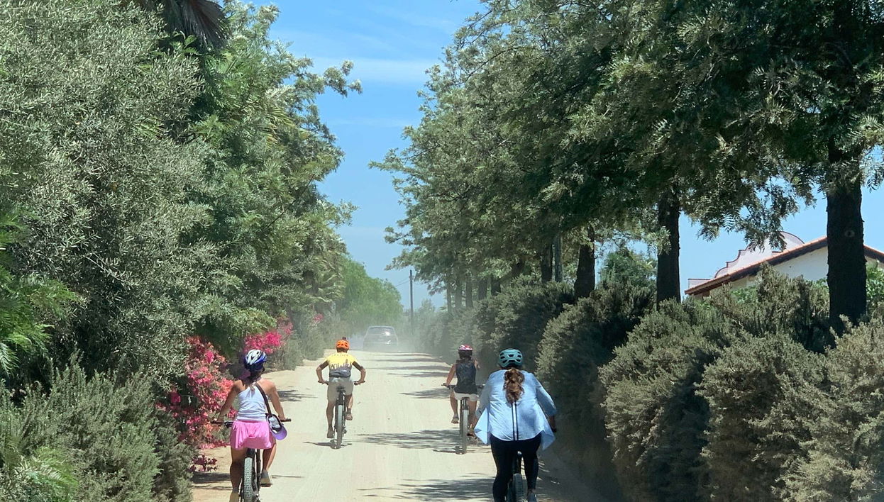 Guadalupe Valley Vineyards Bike Tour