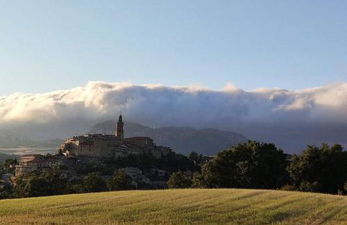 viva el vino - Foto 15