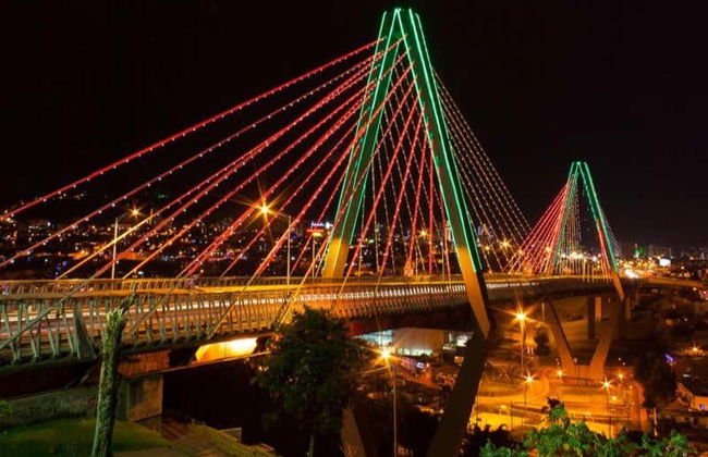 Pereira & Banana Plantation Tour - Photo 2