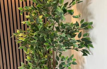 The perfect place 3 Bedroom house with garden and parking - Foto 16