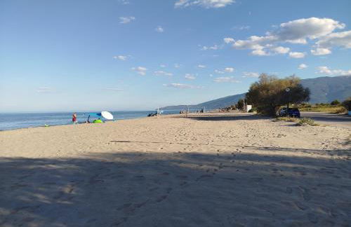 Harmony Apartments - Foto 46