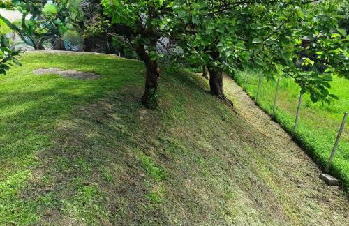 Valtellinda - Foto 24