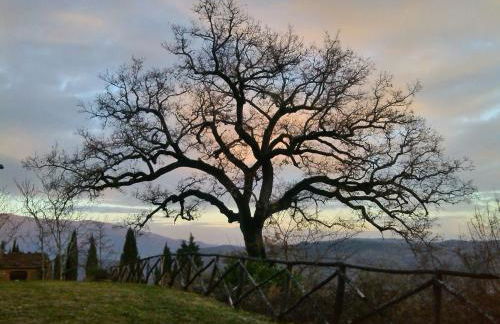 Agriturismo Borgo Ornina - Foto 74