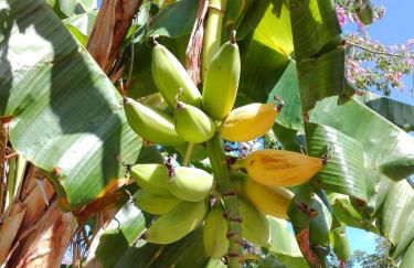 Litto Appartamenti - Photo 39