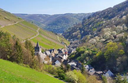 Roosartige Ferien - Ferienwohnung am Weiherturm - Photo 13