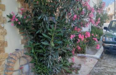 Chrysoulas Apartment - Foto 6