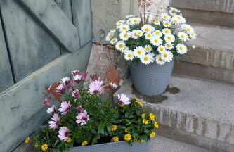 Gutenstein - Bauernhaus mit Charme und Ausblick - Foto 21