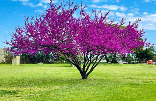 Agriturismo Paradiso - Foto 27