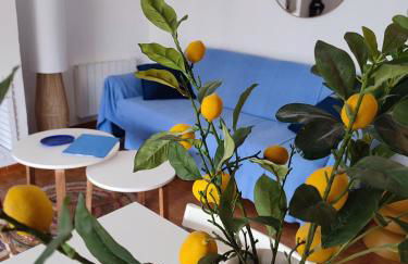 vibes menorca - Foto 32