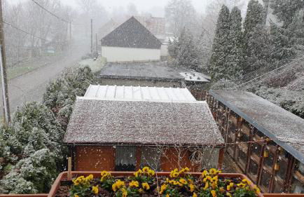 Ferienwohnung Landidylle - Foto 18