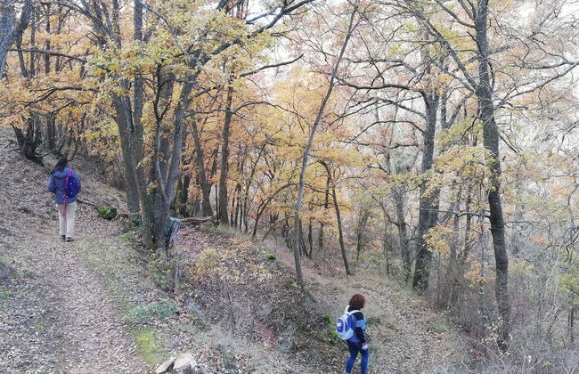 Quejigares de Barriopedro & Brihuega Hiking Tour - Photo 3