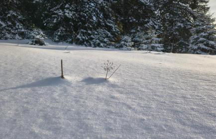 Le Repaire du Loup blanc - Foto 50