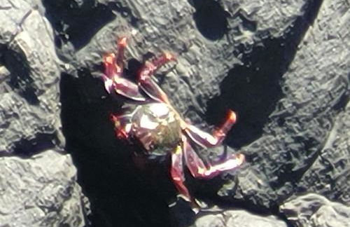 Salinas Cancajos - Foto 36