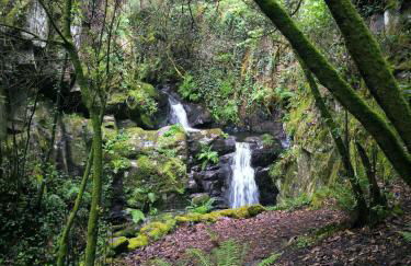 Cantinho do Talasnal - Foto 33