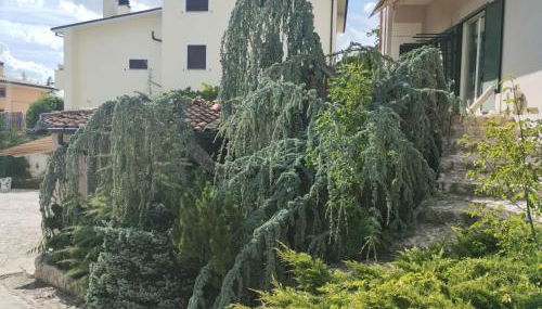 COUNTRY HOUSE ViLLA GIGINA - Foto 3, Garden