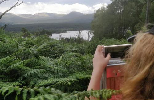 Cluny Mains - Foto 44