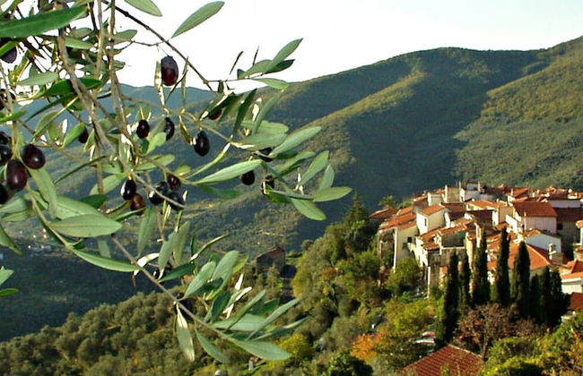 Panoramic Rural House With Garden - Foto 34