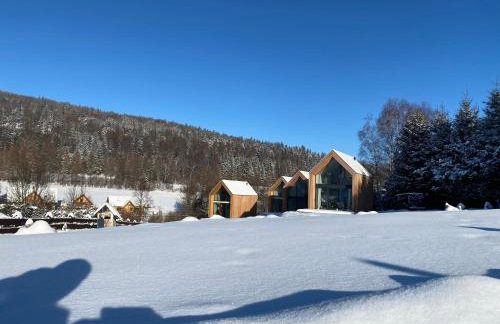 Domki Pod Lasem - Domek Brzozowy - Foto 39