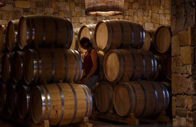 Elqui Valley Pisco, Wine & Beer Tour - Photo 2