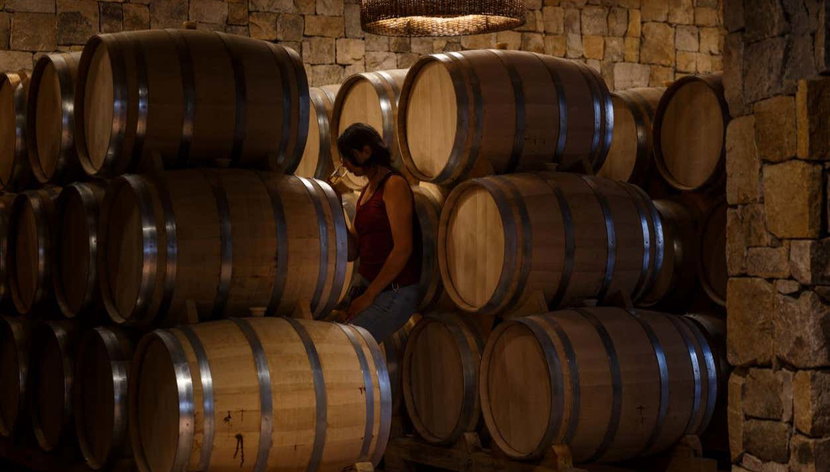 Tour del pisco, el vino y la cerveza por el Valle del Elqui - Foto 2, Degustaremos el vino del Valle del Elqui