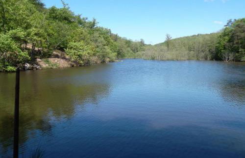 Gîte en pleine nature avec Wifi, animaux acceptés - FR-1-489-122 - Foto 21