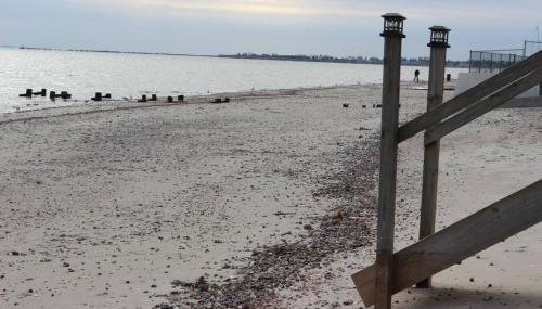 Pet Friendly Milford Beachfront Home - Foto 3