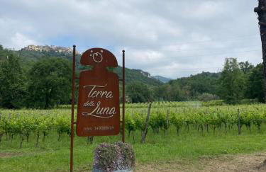 Terra della Luna casa vacanze - Foto 10