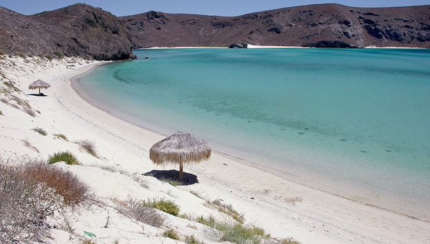 Mangroves and Beaches Tour - Photo 2