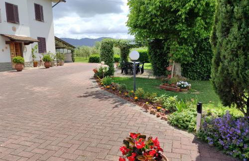 Villa Gaia Truffle Experience - Photo 37