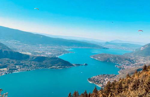 LE NID DU BIRDIE, Giez, Proche du lac d’Annecy - Foto 17