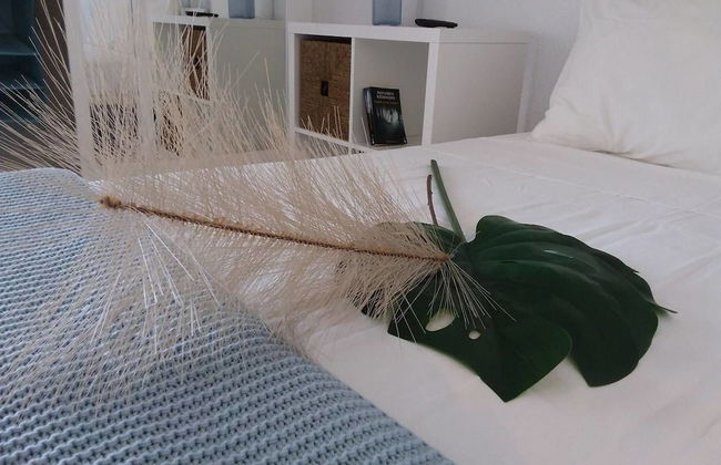 Brise Marine - Foto 6