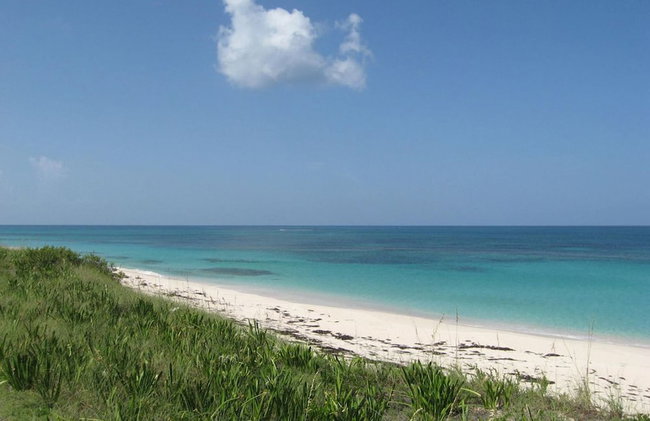 Buttonwood Reserve 1D - Foto 24