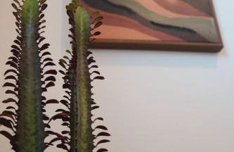 Canyon Stop - Foto 37