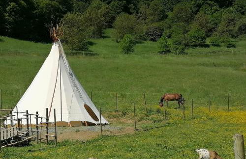 Zurück zur Natur - Urlaub im Zirkuswagen, Sommeratelier oder Schindelwagen - Foto 36