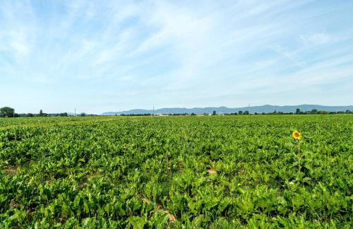 Am Storchennest - Foto 8