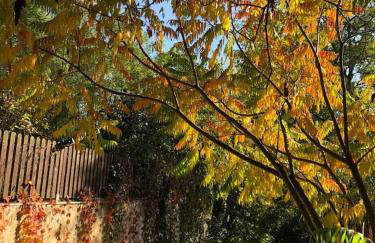 Leśna 6 - House with a garden - Foto 40