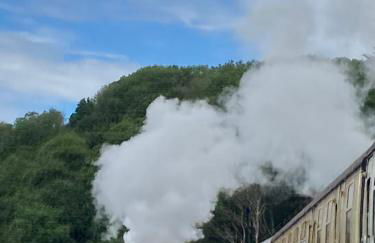 310 Norton Park - Foto 12