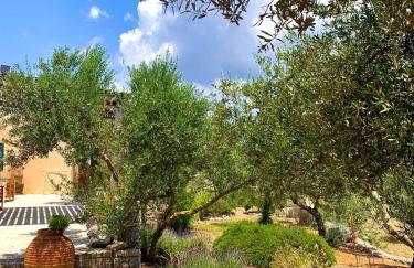 AMPELIA KYTHIRA - Foto 37