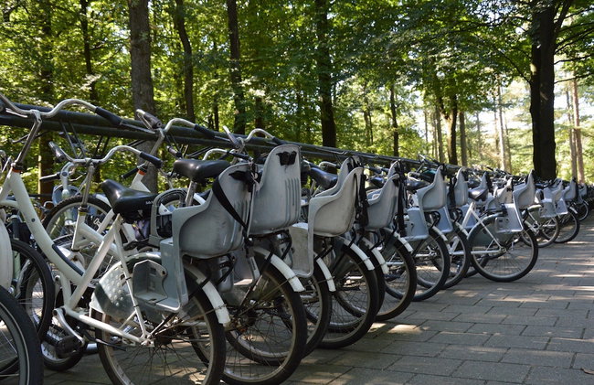 Chalet With Balcony in Veluwe - Foto 36
