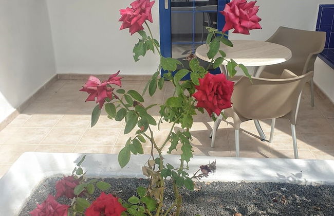 Grupotel Cinco Plazas - Foto 7