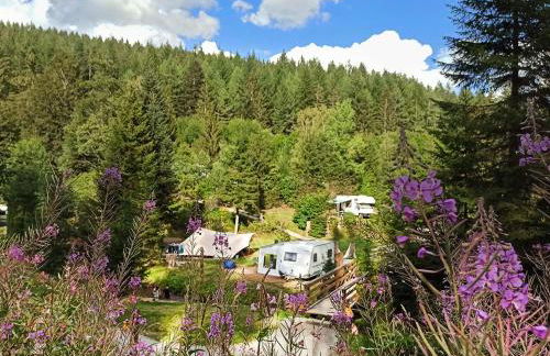 Holiday am Marktplatz Freudenstadt - Foto 21