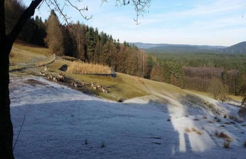 Wohnung in Burggrub mit Sauna und Garten - Foto 61